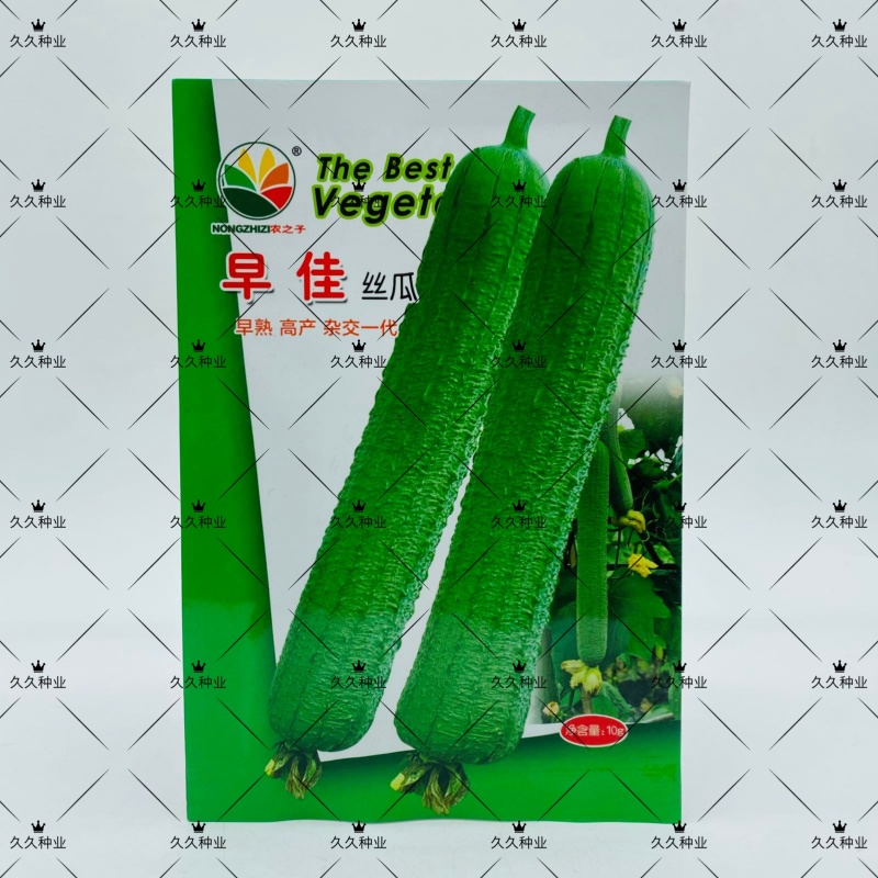农之子早佳丝瓜杂交一代薄皮丝瓜早熟瓜码密大型基地用种春秋