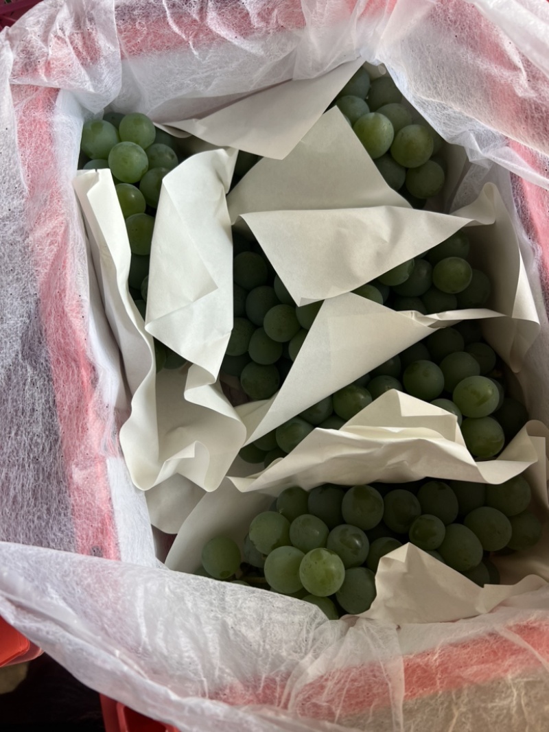 精品水晶葡萄