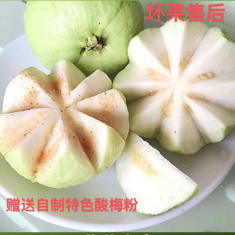 珍珠番石榴种植基地，一年四季釆摘不间断，量大批发价优惠
