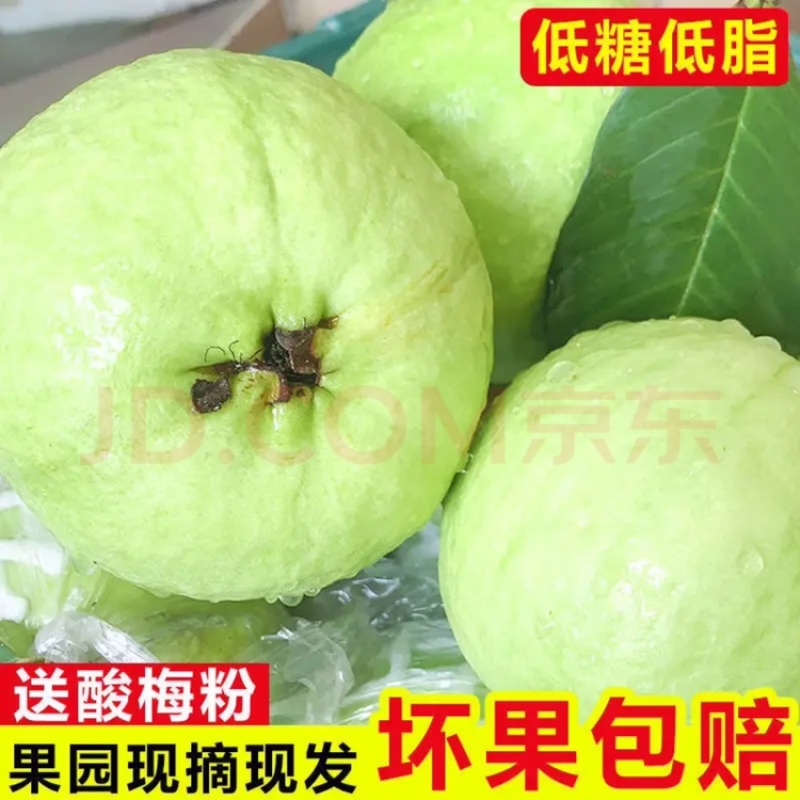 珍珠番石榴种植基地，一年四季釆摘不间断，量大批发价优惠