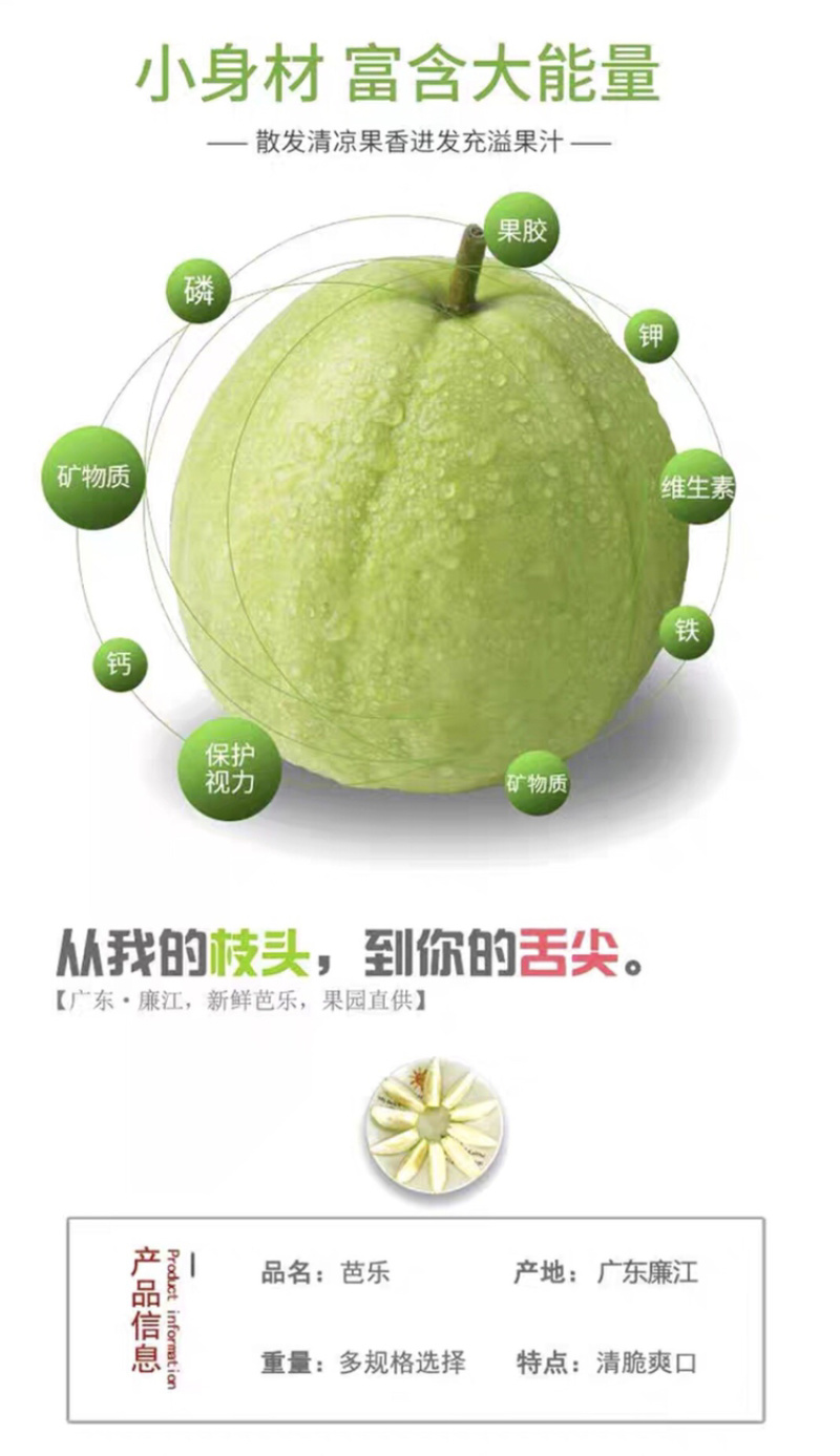 珍珠番石榴种植基地，一年四季釆摘不间断，量大批发价优惠