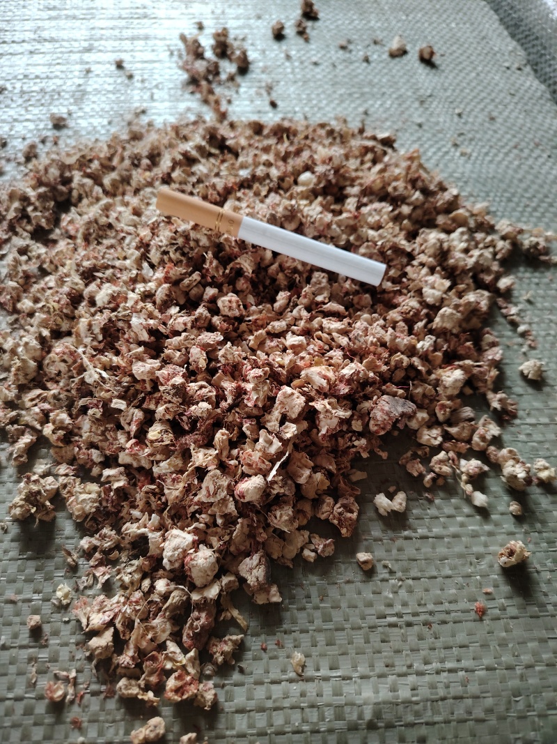 玉米芯玉米芯颗粒食用菌种植原料