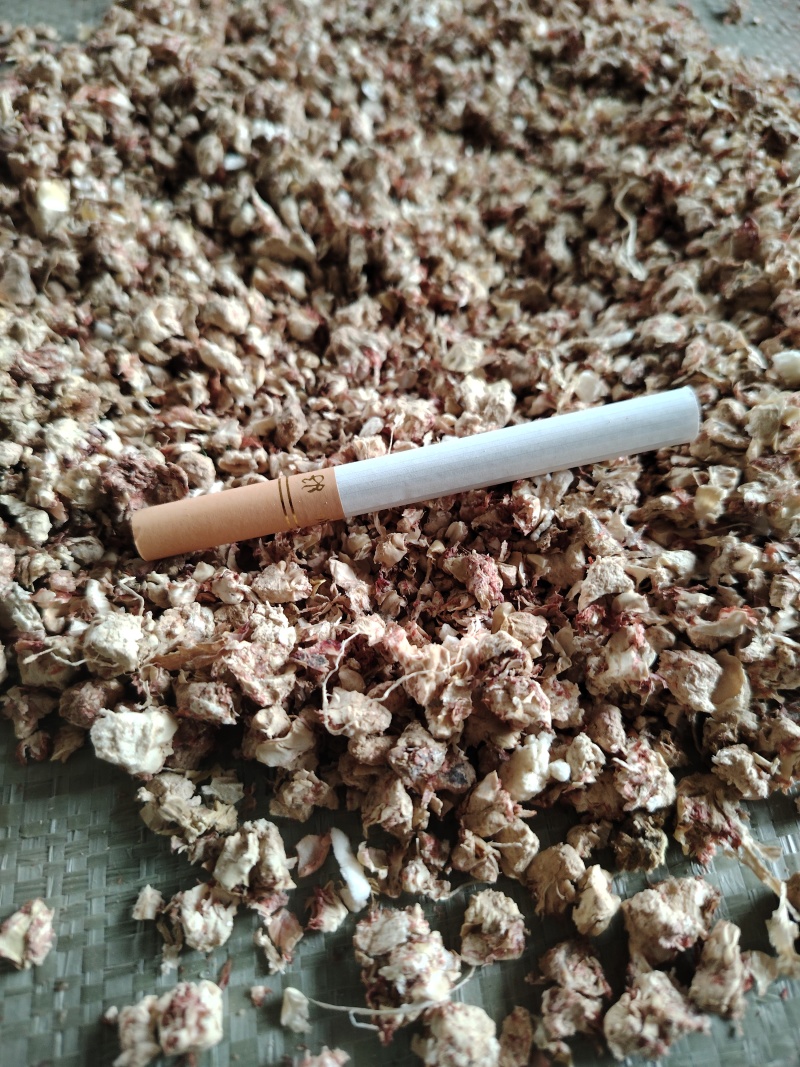 玉米芯玉米芯颗粒食用菌种植原料