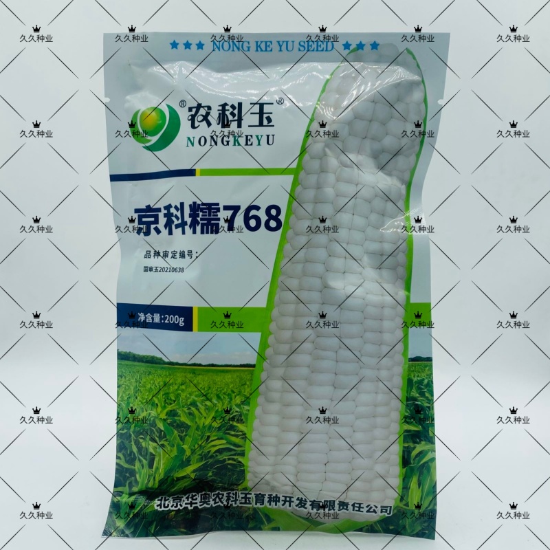京科糯768玉米种子农科玉鲜食糯大棒非转基因原装粘玉正宗