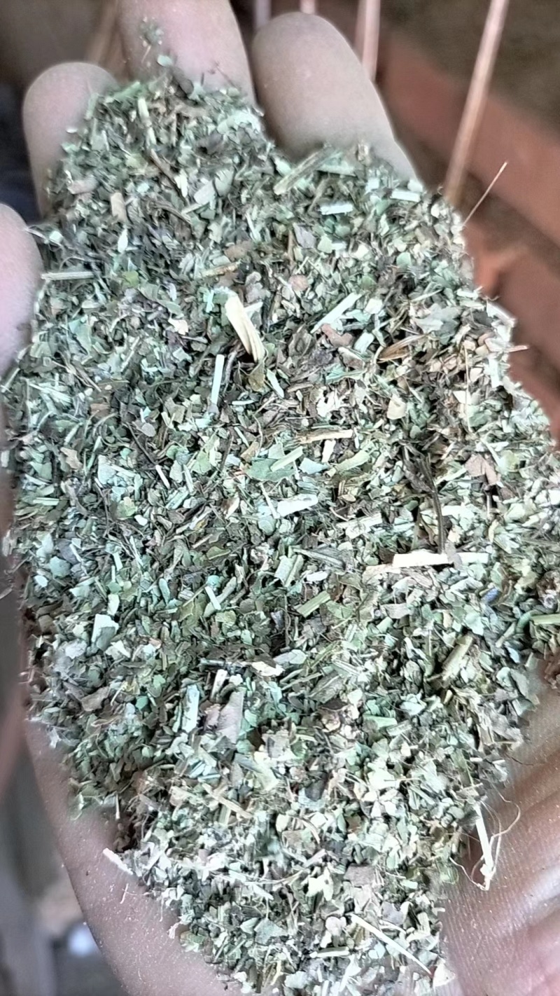 河南正阳花生秧叶粉，基地直发，量大从优，诚信经营