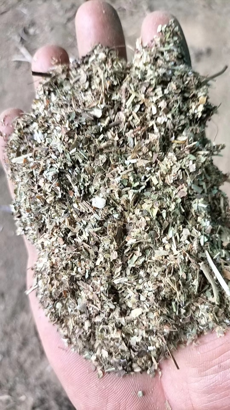 河南正阳花生秧叶粉，基地直发，量大从优，诚信经营