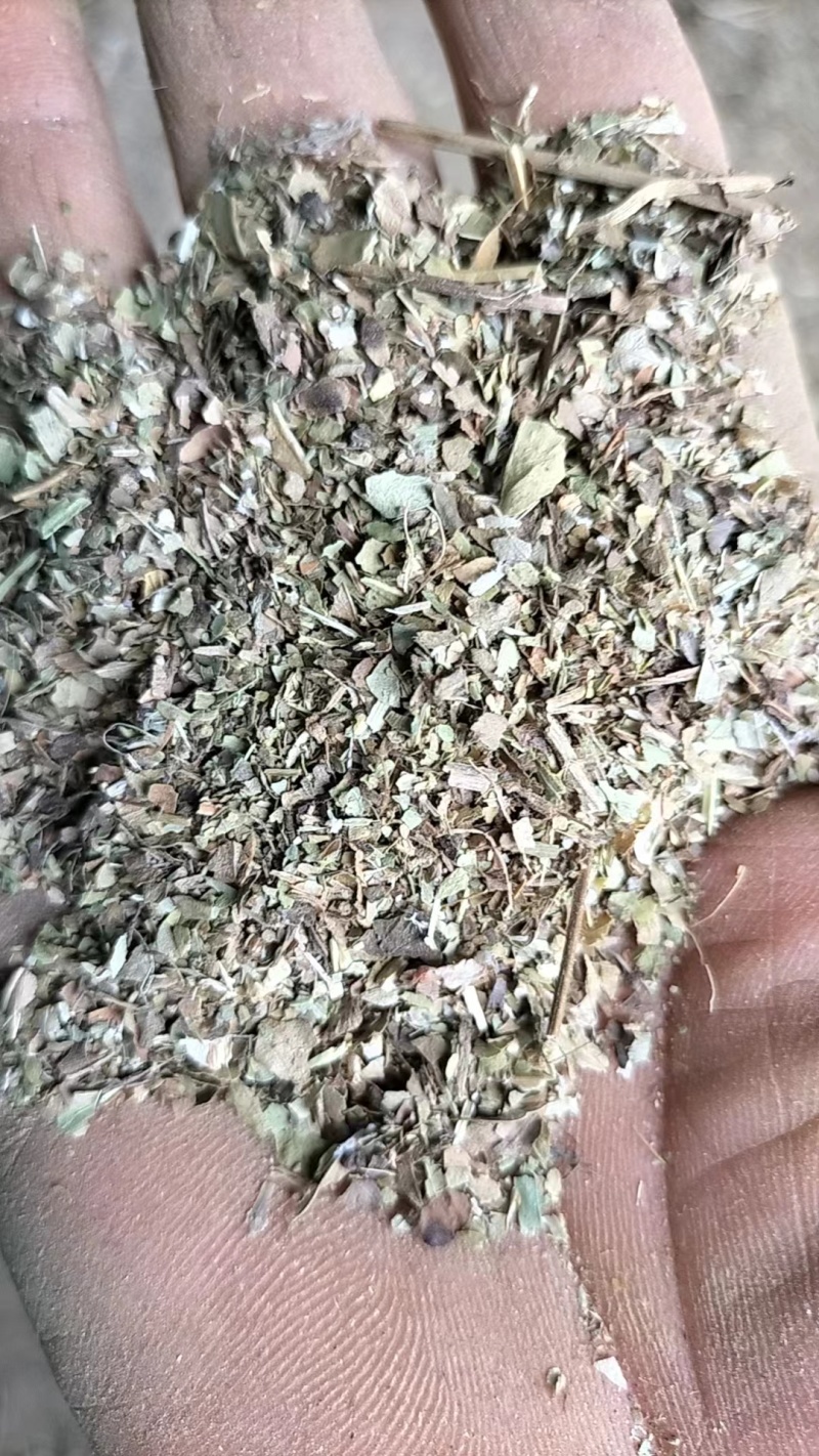 河南正阳花生秧叶粉，基地直发，量大从优，诚信经营