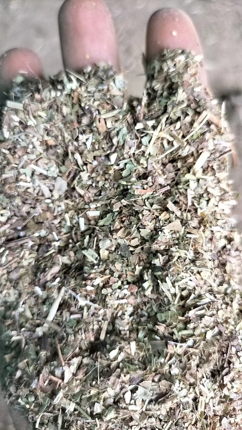 河南正阳花生秧叶粉，基地直发，量大从优，诚信经营