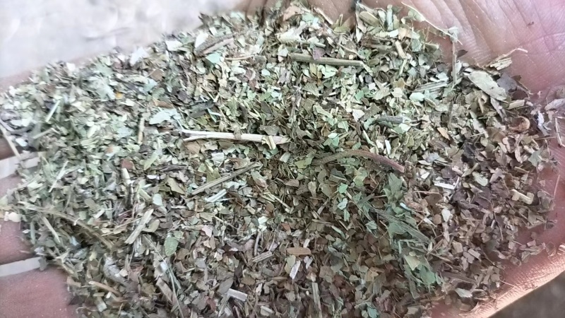 河南正阳花生秧叶粉，基地直发，量大从优，诚信经营