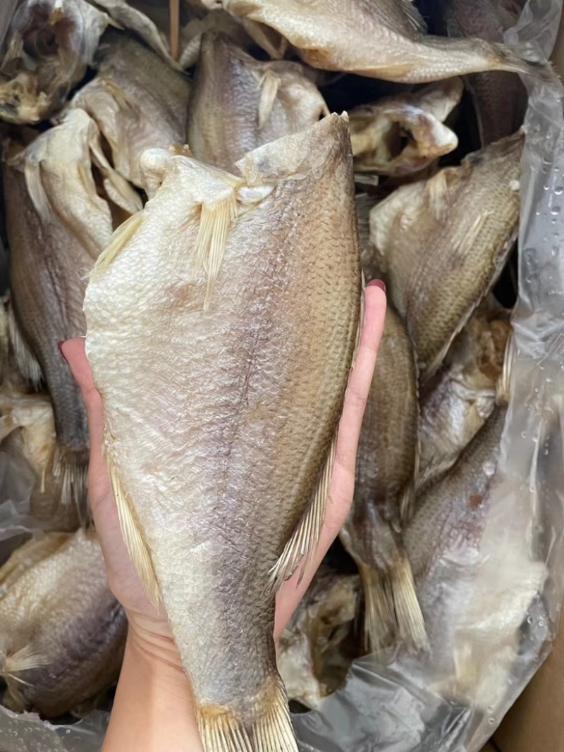 鲈鱼干地摊电商淡水鲈鱼干卢仔卢肉特大号鲈鱼干
