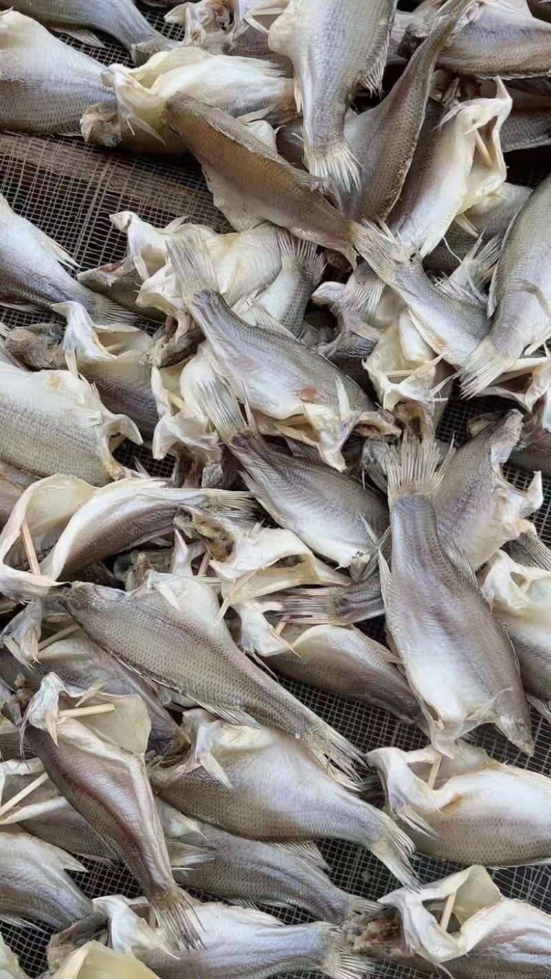 鲈鱼干地摊电商淡水鲈鱼干卢仔卢肉特大号鲈鱼干