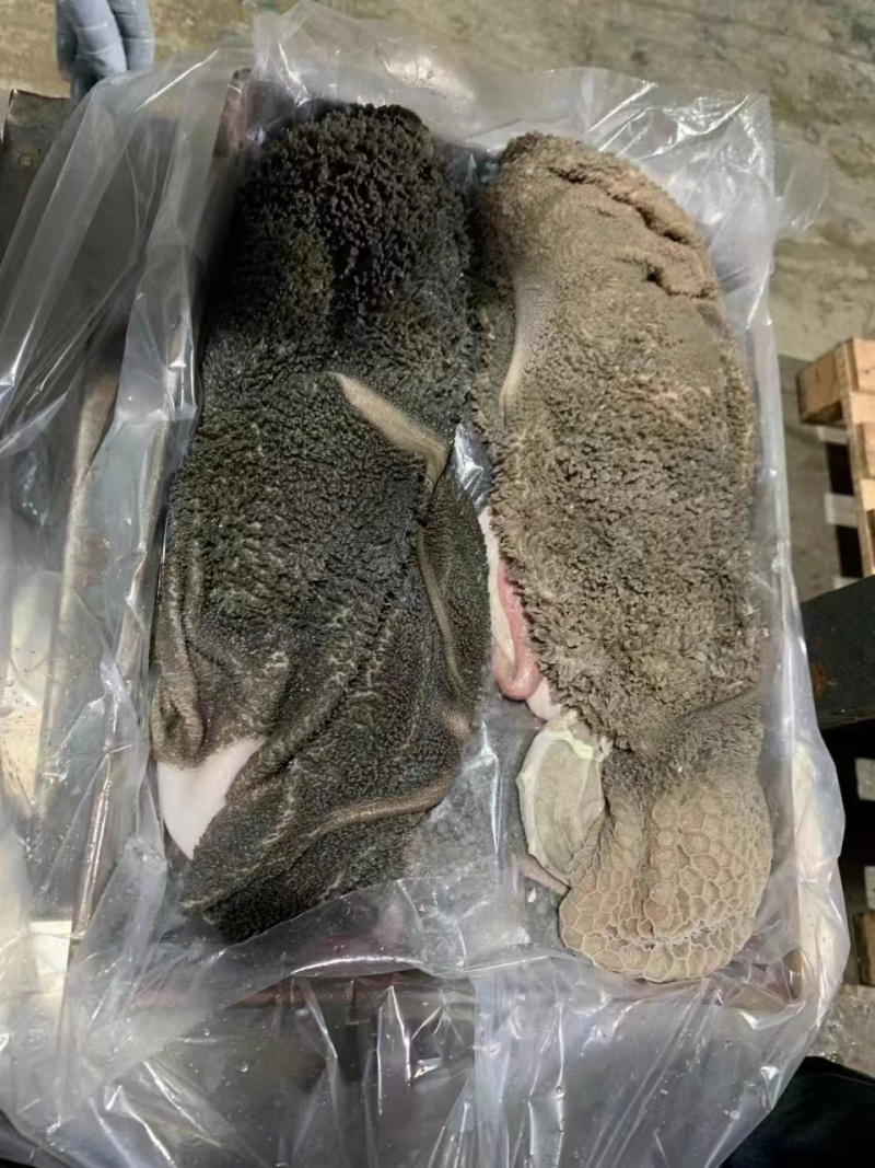 羊毛肚，纯干货，免洗，里外都很干净。整肚带红肠，带金钱。