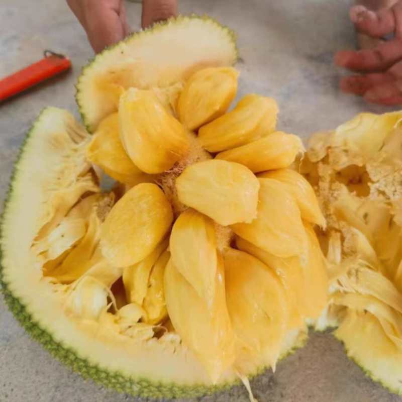 珍珠榴莲蜜