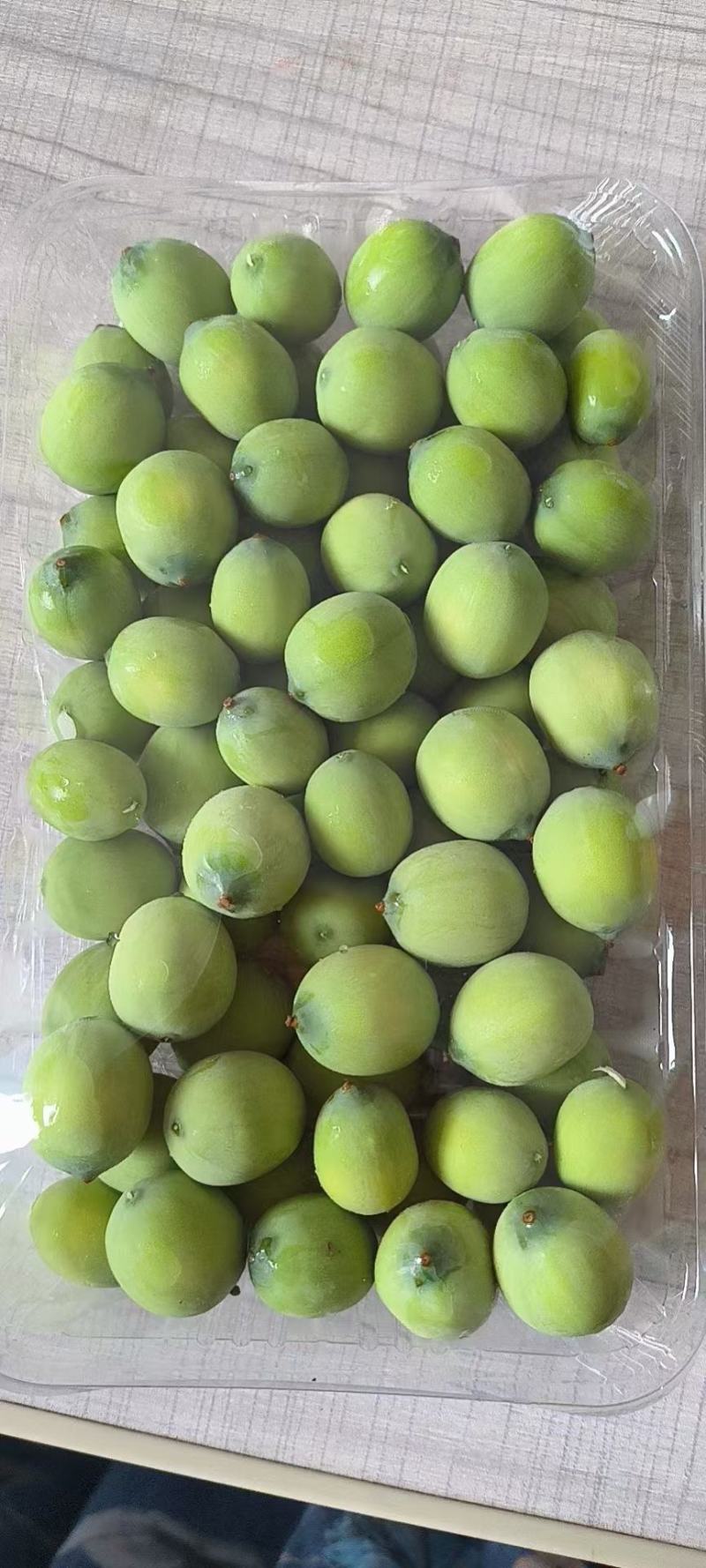 新鲜青莲子（可过筛）水果莲子，对接全国，批发