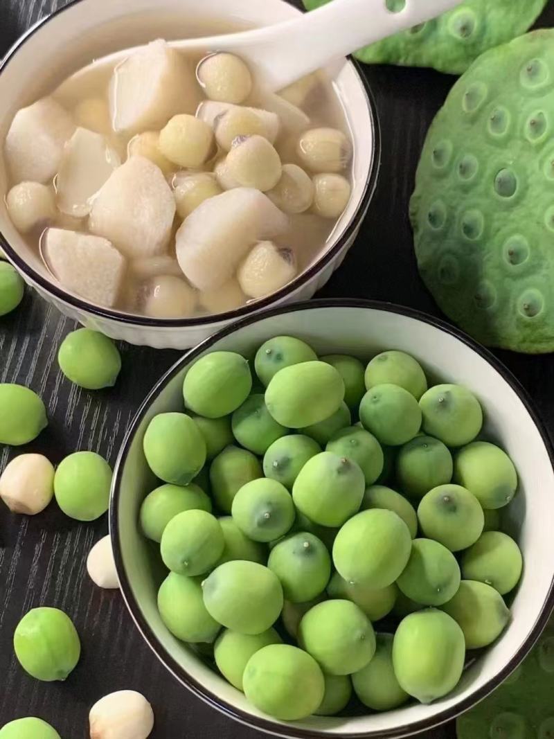 新鲜青莲子（可过筛）水果莲子，对接全国，批发