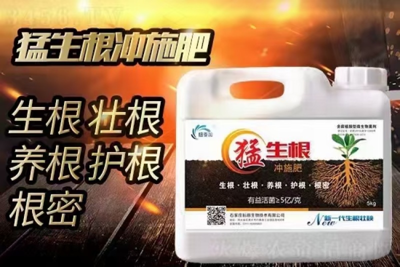 生根壮苗型水溶肥猛生根含腐植酸