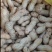 河南优质新花生，皮薄籽大，大白沙花生，供市场商超