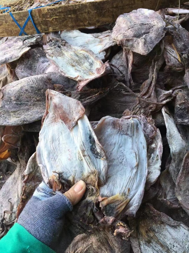 黑鱿鱼1号，水发烧烤都可用，货靓干度好，一手货源量大价优