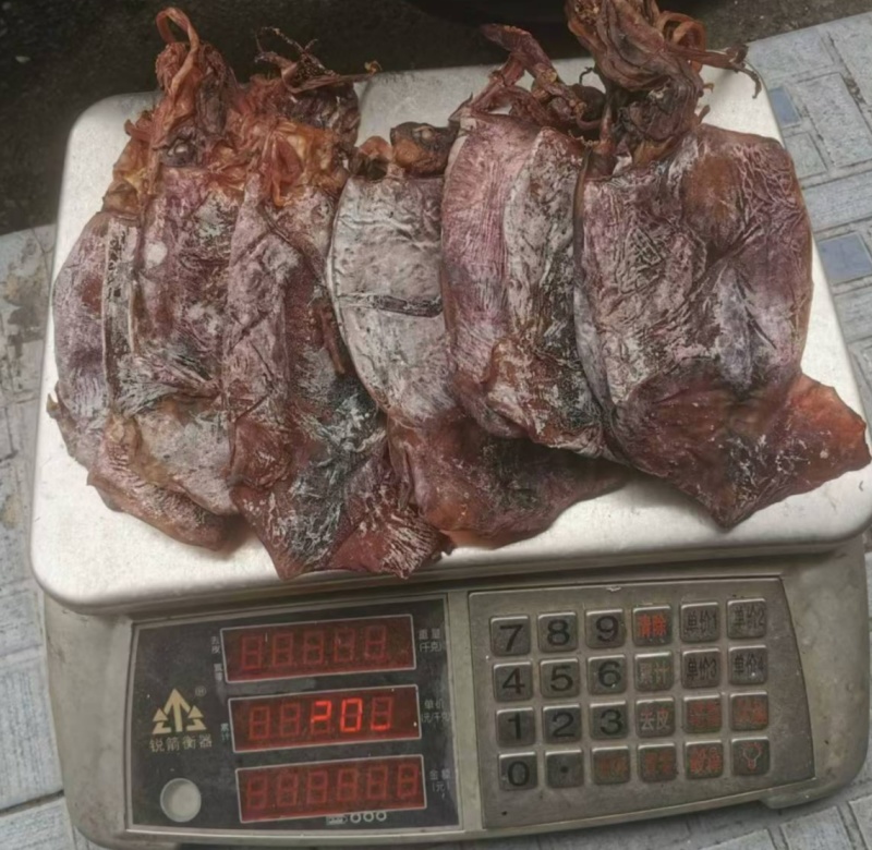 黑鱿鱼1号，水发烧烤都可用，货靓干度好，一手货源量大价优