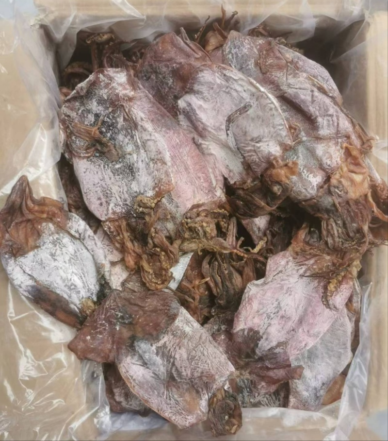 黑鱿鱼1号，水发烧烤都可用，货靓干度好，一手货源量大价优