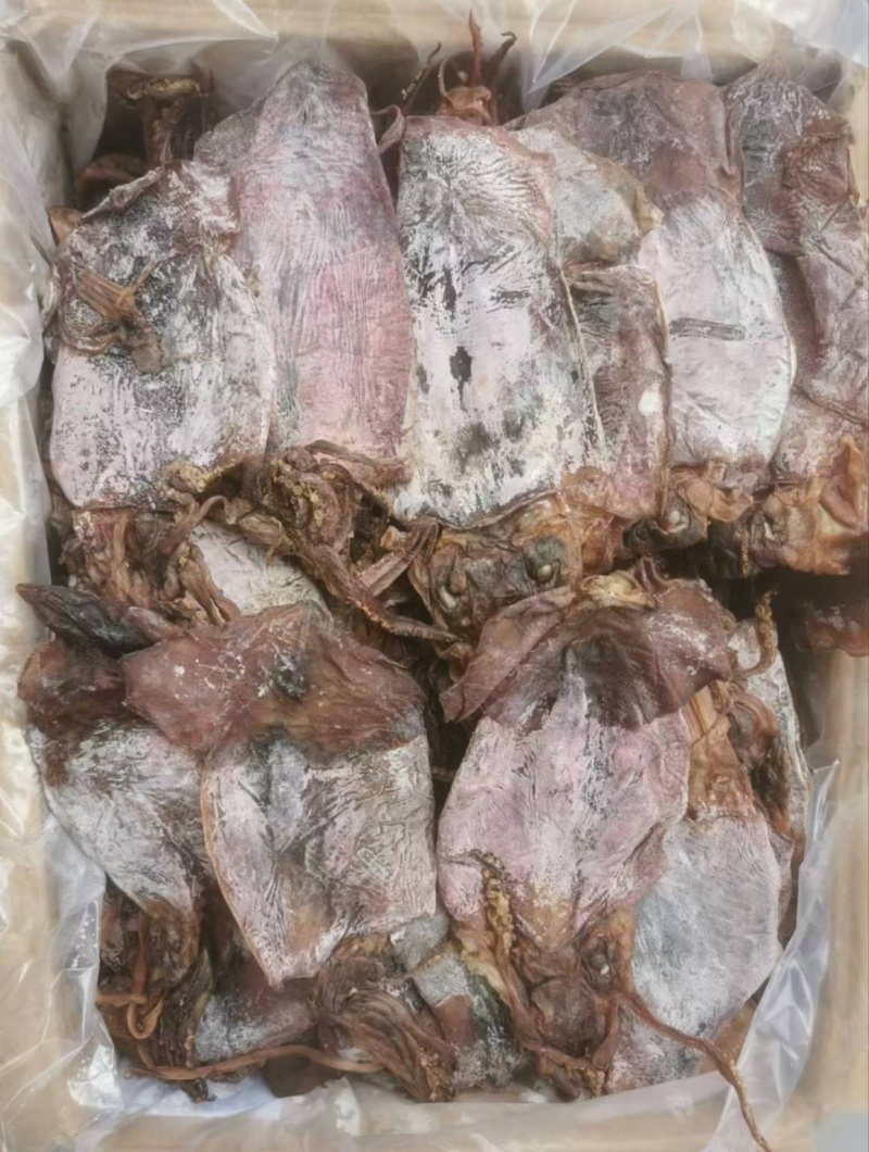 黑鱿鱼1号，水发烧烤都可用，货靓干度好，一手货源量大价优