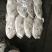 马面鱼200/300。白皮耗儿鱼剥皮鱼