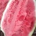 宁夏硒砂瓜金成5号自家种植一手货源欢迎老板来电合作