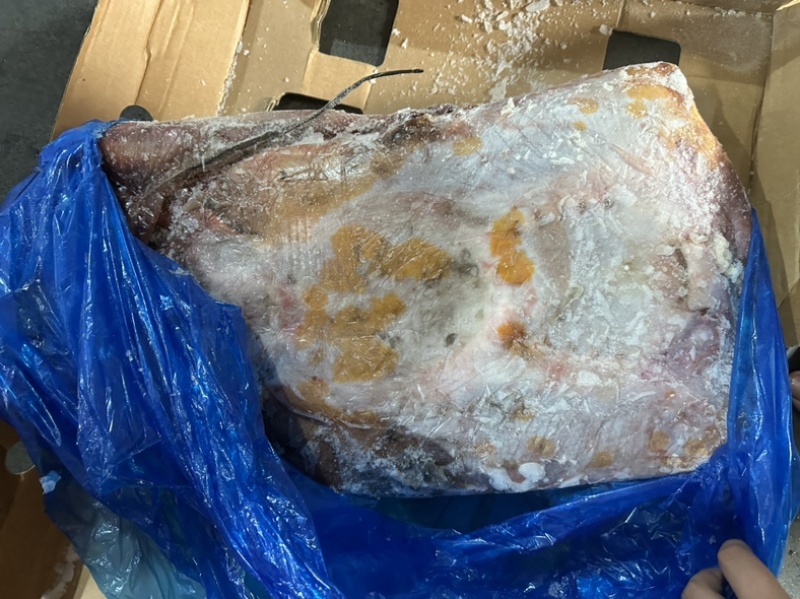 鳐鱼黄瑶大鳐鱼魔鬼鱼1500/3000规格