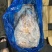 鳐鱼黄瑶大鳐鱼魔鬼鱼1500/3000规格