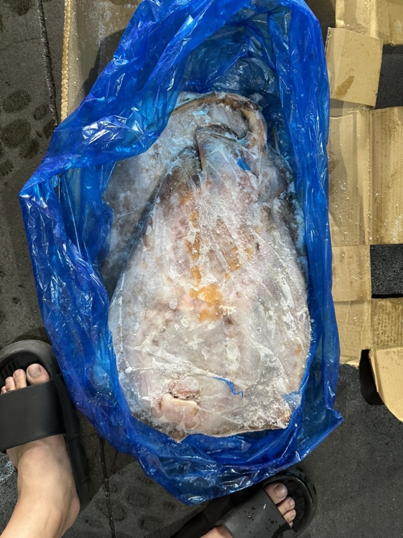 鳐鱼黄瑶大鳐鱼魔鬼鱼1500/3000规格