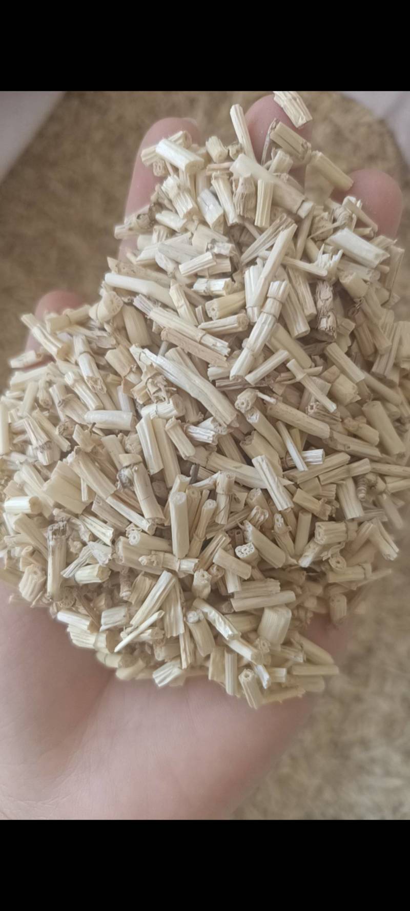 白毛根，毛根，无硫毛根，毛根米，云南产地，一手货源