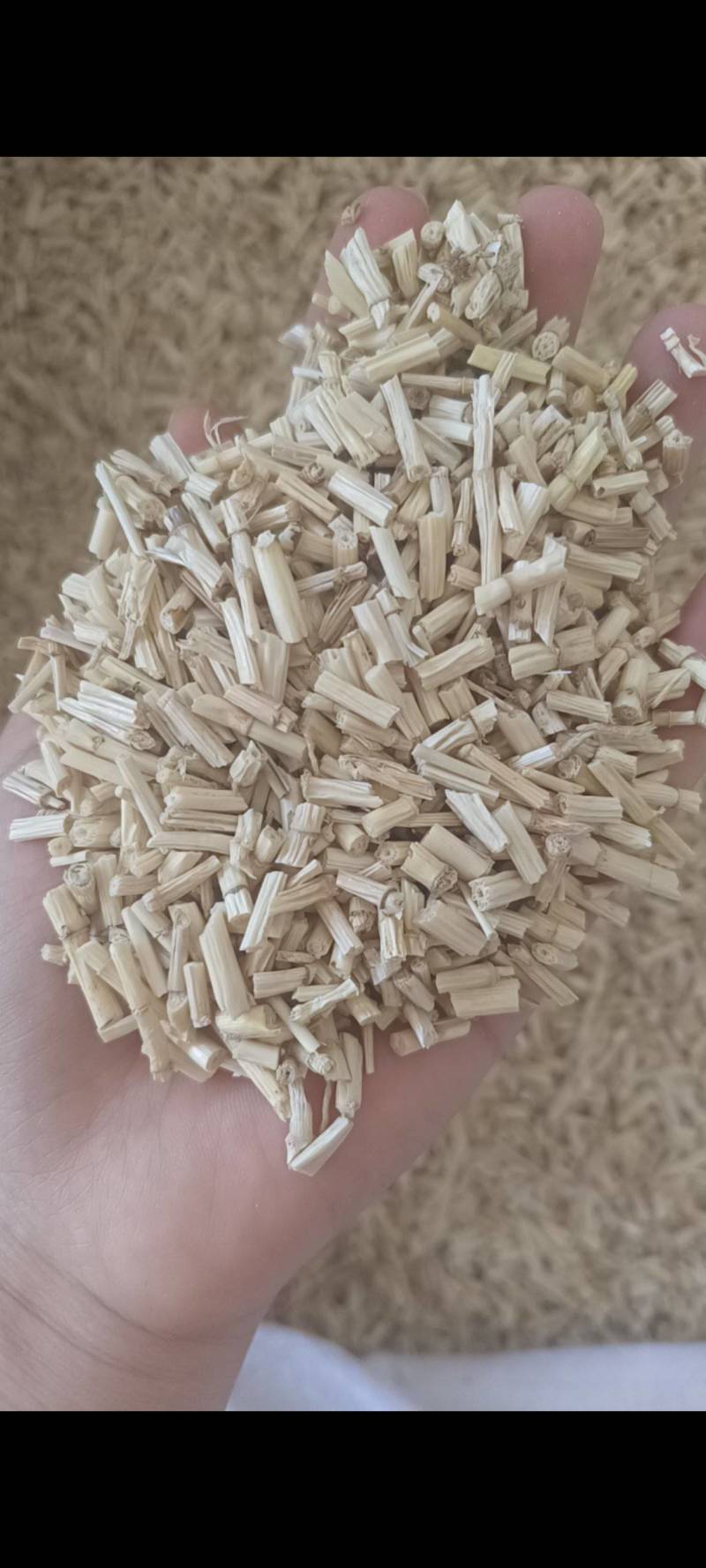 白毛根，毛根，无硫毛根，毛根米，云南产地，一手货源