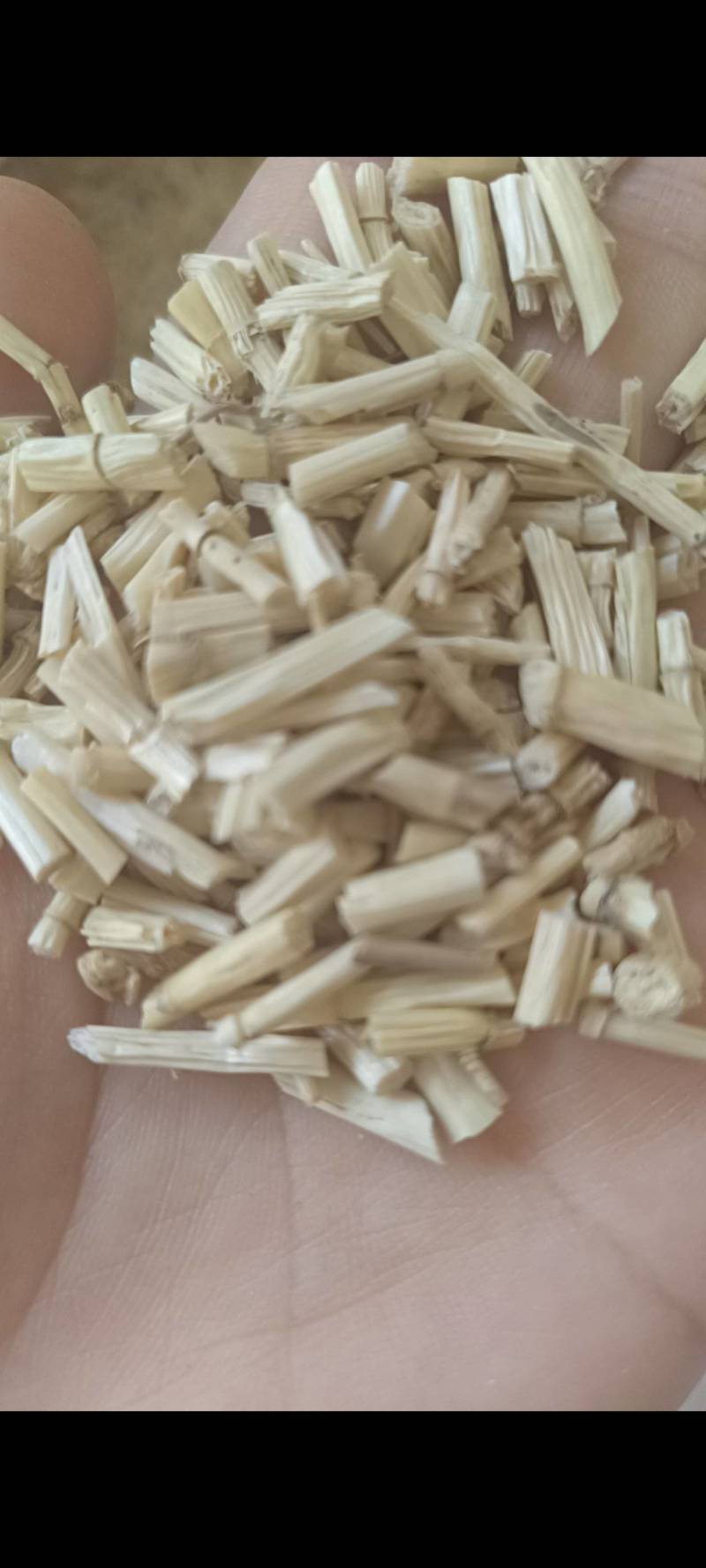 白毛根，毛根，无硫毛根，毛根米，云南产地，一手货源