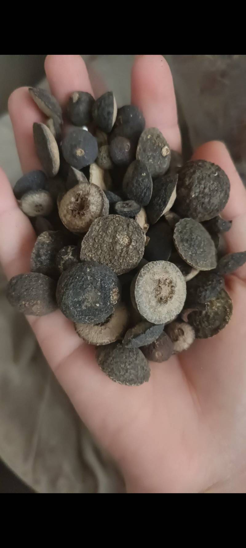 枳实选个物美价廉，产地直销，一手货源丹丹中药材批发
