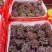 山东产地精品茉莉香葡萄大量上市，价格美丽物美价廉嘎嘎甜