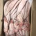 舌鳎鱼龙利鱼200/300300/400船冻