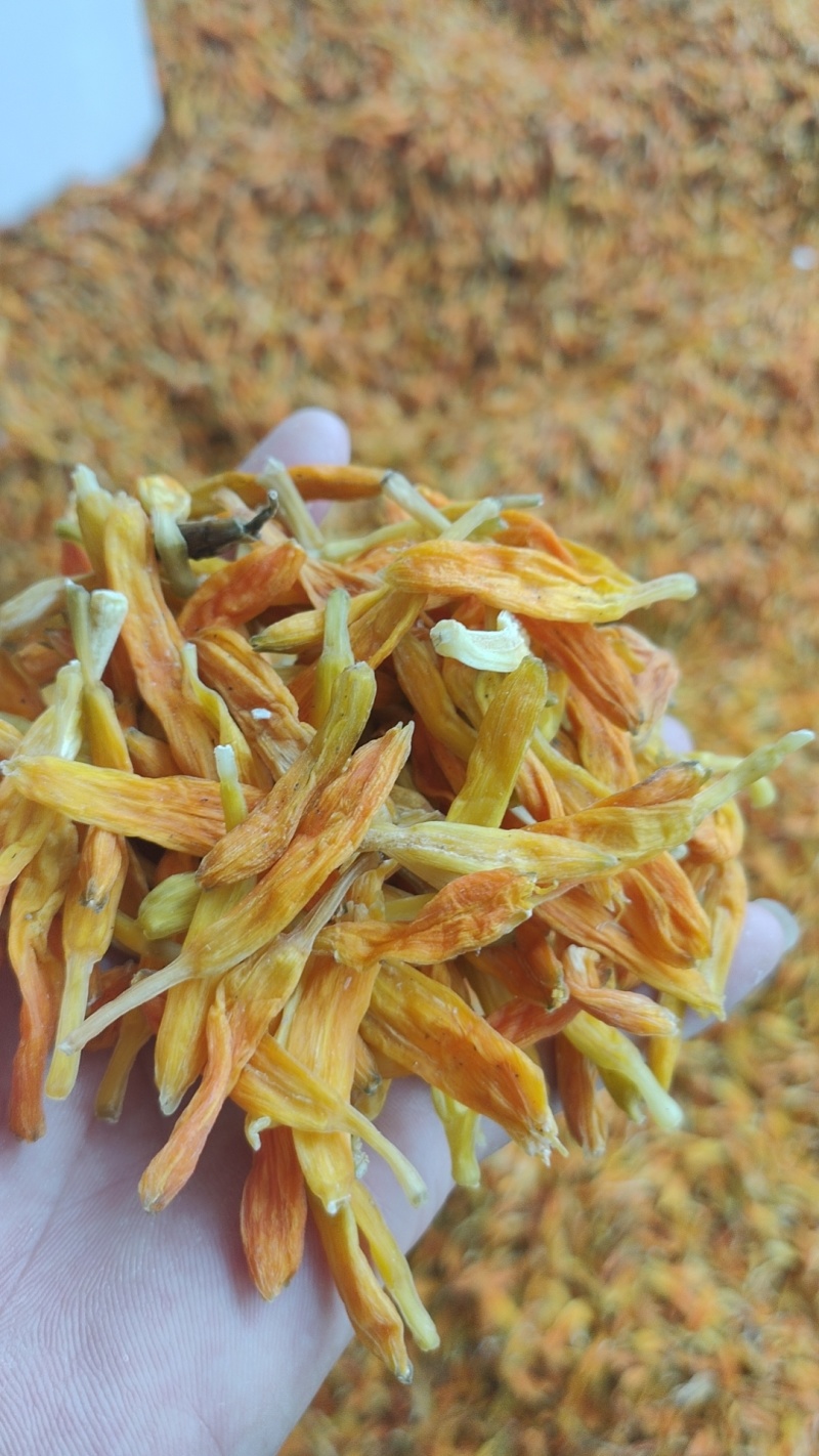 黄花菜