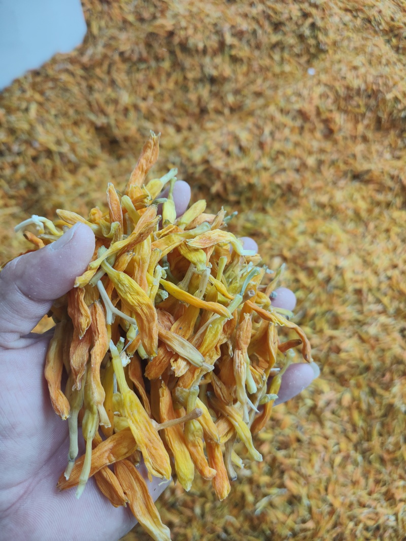 黄花菜