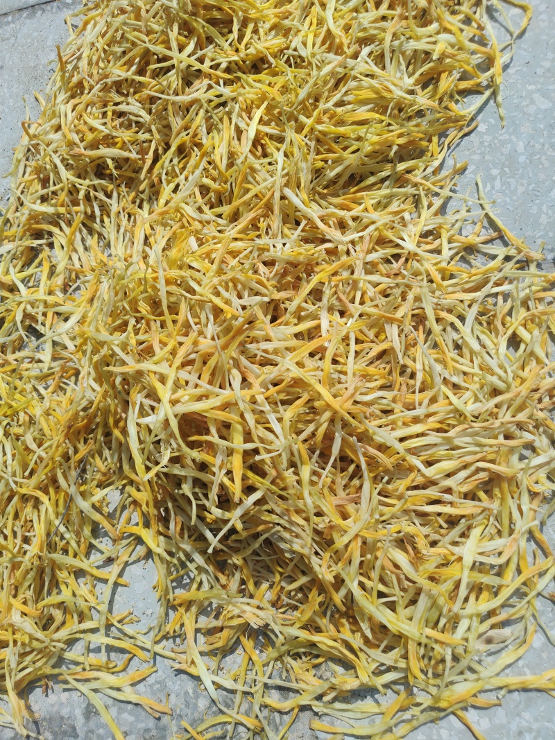 黄花菜