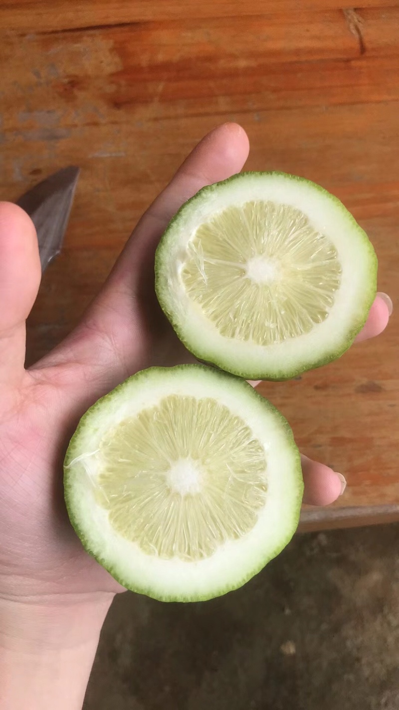 广东香水柠檬一二级果