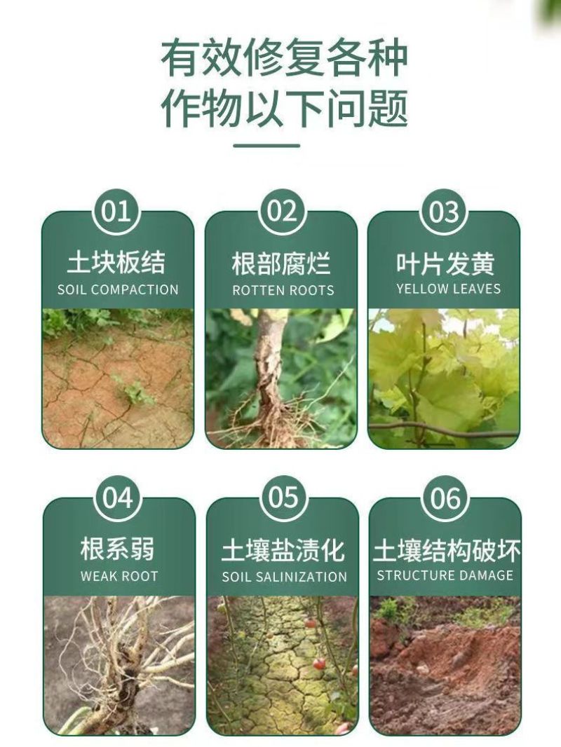 黑地金矿源黄腐酸钾改良土壤促根生根恢复生长冲施撒施肥农用