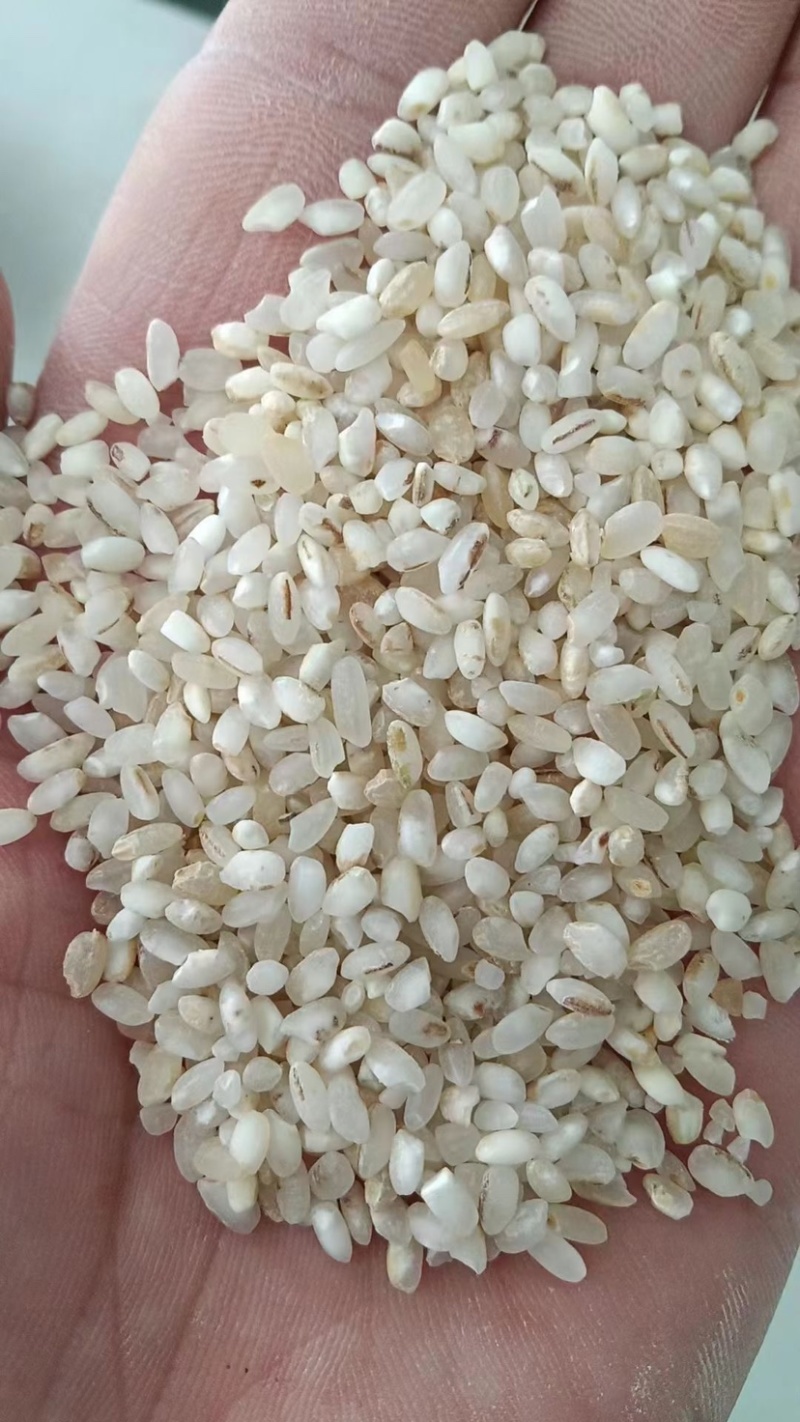 色选米质量嘎嘎好没有脏东西