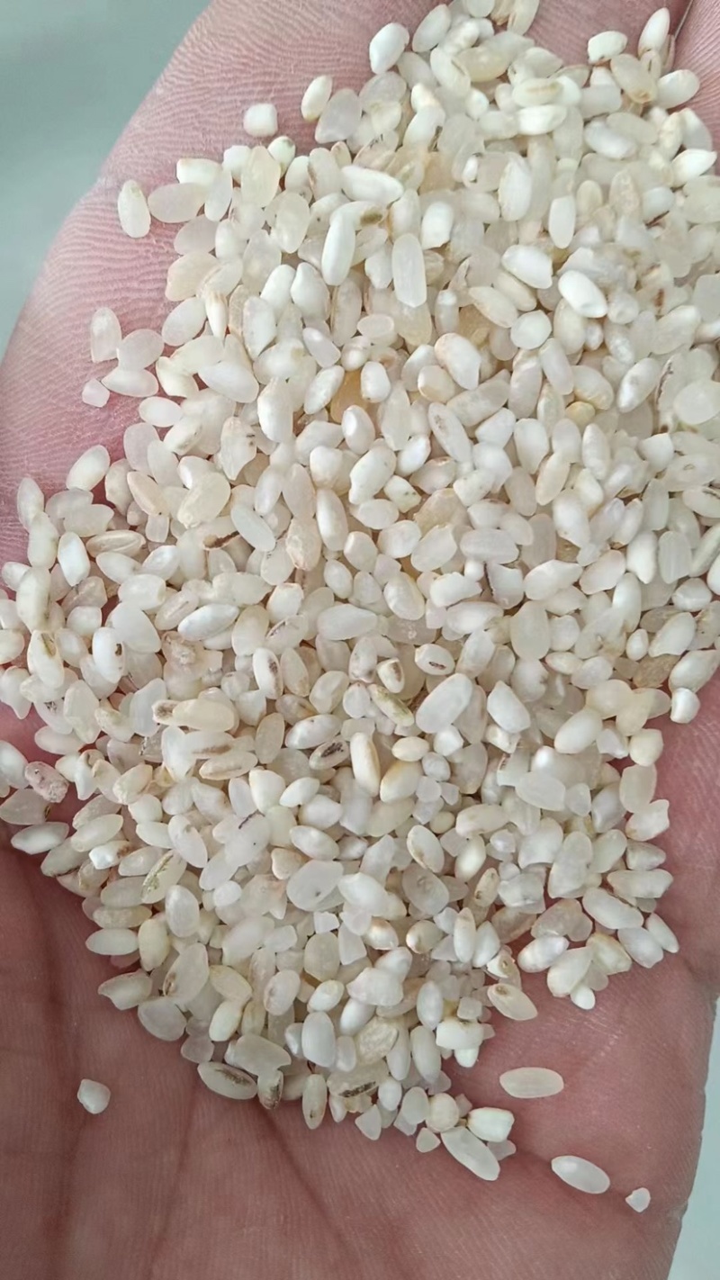 色选米质量嘎嘎好没有脏东西
