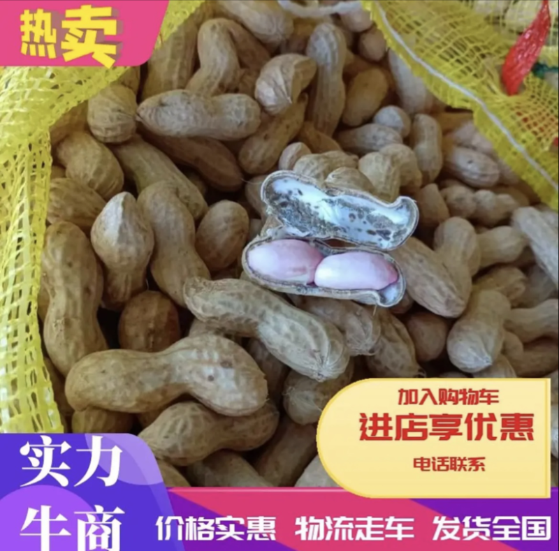 【精品鲜花生】河南开封大量上市，一手货源欢迎来电订购