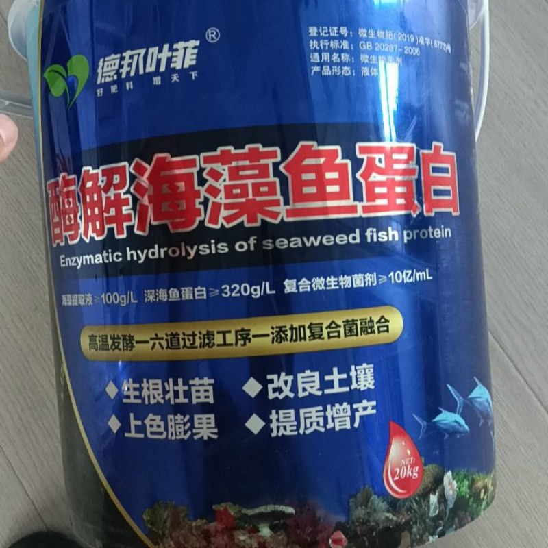 高浓度酶解海藻鱼蛋白(专注生根膨果12年)
