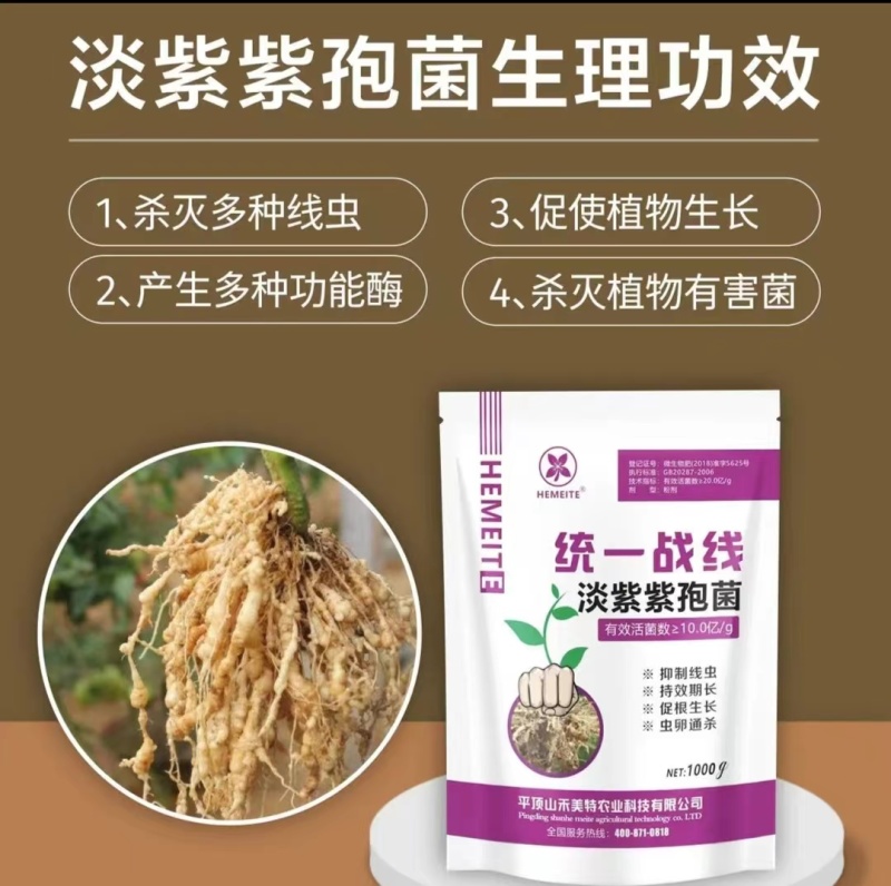 统一战线防治根结线虫虫卵通杀微生物菌剂杀灭有害菌