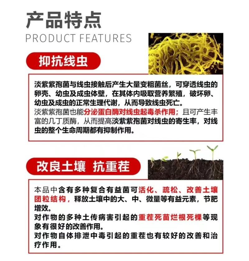 统一战线防治根结线虫虫卵通杀微生物菌剂杀灭有害菌