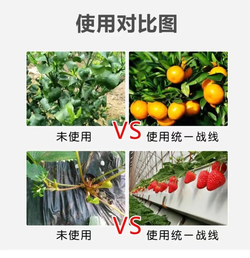 统一战线防治根结线虫虫卵通杀微生物菌剂杀灭有害菌