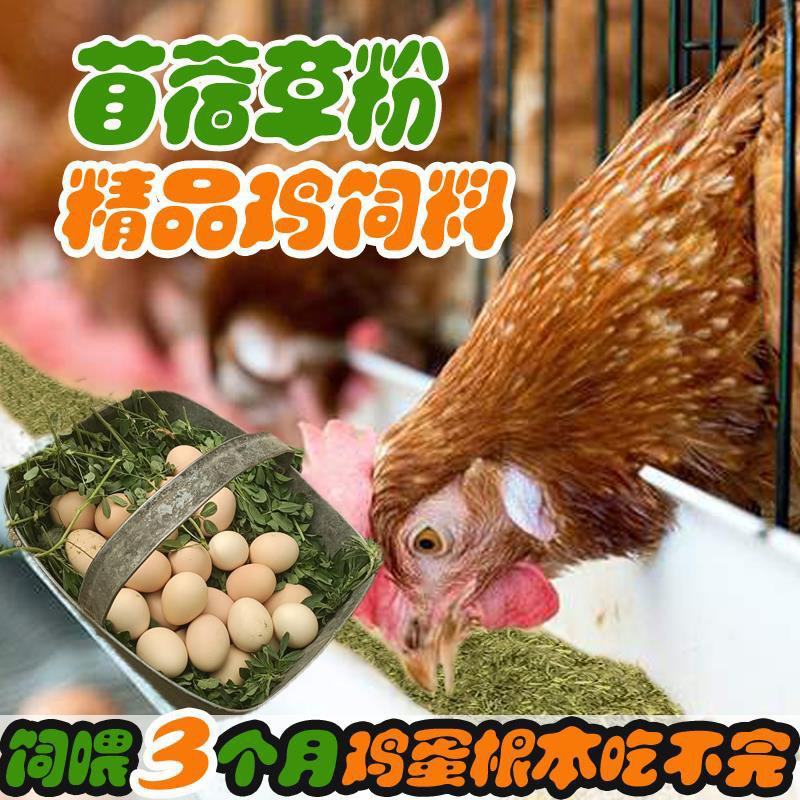 精品鸡鸭鹅饲草料紫花苜蓿草粉100%纯苜蓿草粉无添加产蛋