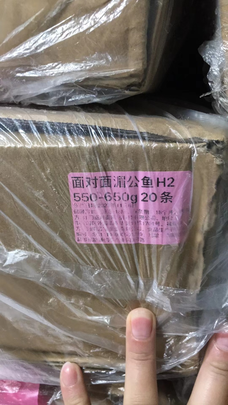反骨腌制巴沙鱼10成干水品质优